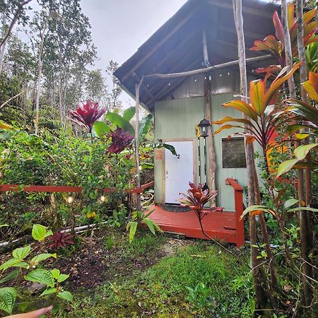 Cabin 2-Rustic Private Stay Near Volcano National Park Fern Forest Zewnętrze zdjęcie