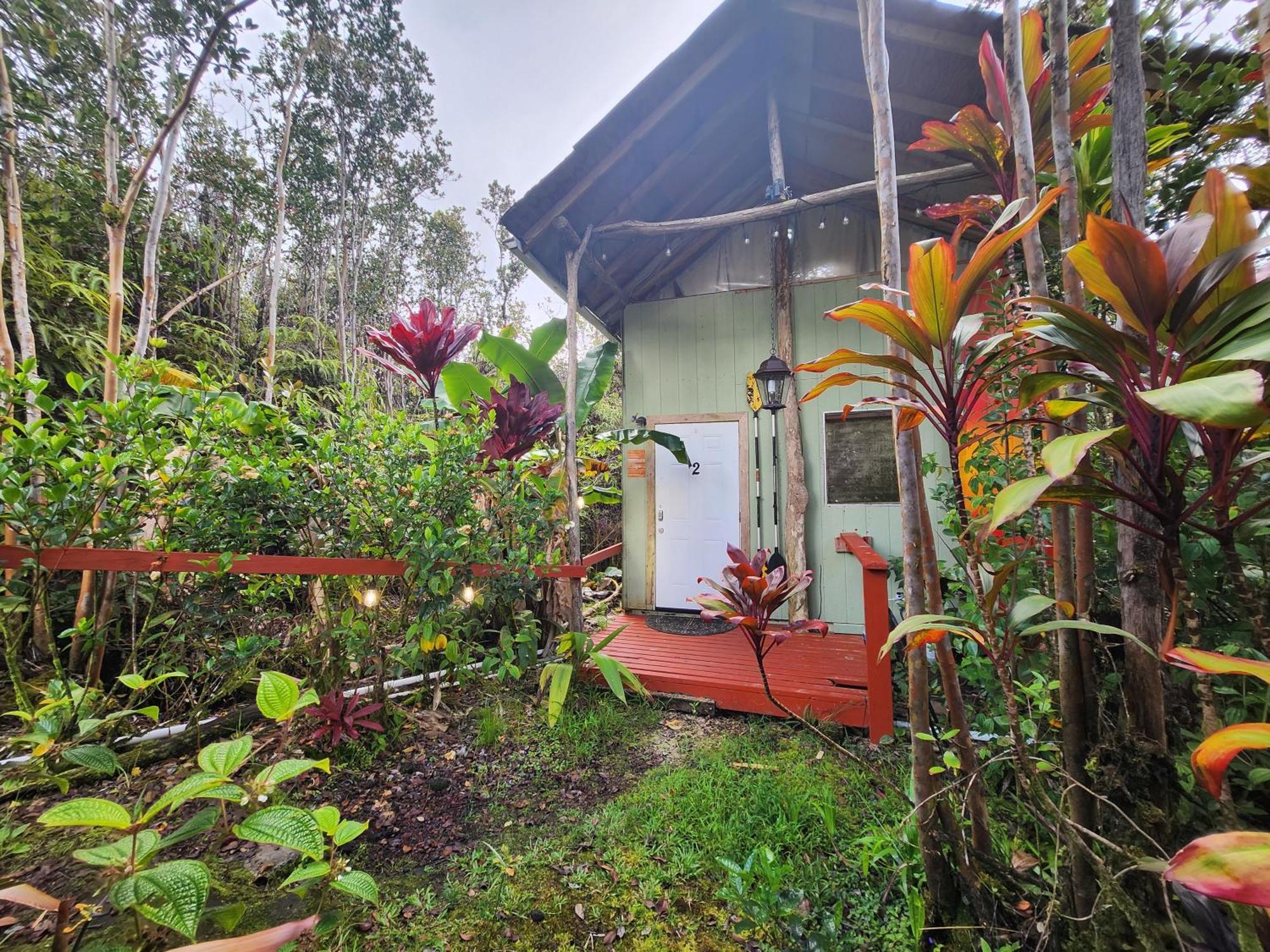 Cabin 2-Rustic Private Stay Near Volcano National Park Fern Forest Zewnętrze zdjęcie